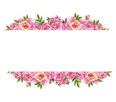 Watercolor illustration frame borders top bottom border with pink peonies, buds and leaves. Botanical composition isolated from background. Great pattern for decor, stationery, wedding invitations, png