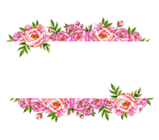 Watercolor illustration frame borders top bottom of pink peonies with buds and leaves. Botanical template, blank for text, isolated from background. Great pattern for kitchen, home decor, stationery png