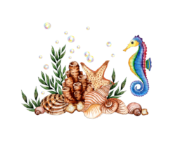 Watercolor illustration of the underwater world with algae, beige corals, shells, seahorse, starfish and bubbles. Sea animals isolated. Compositions for posters, cards, banners, png