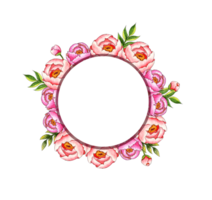 Watercolor illustration round frame wreath border with pink peonies, buds and leaves. Botanical composition isolated from background. Great pattern for decor, stationery, wedding invitations, cards png