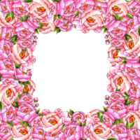 waterverf illustratie plein weelderig kader met roze pioenrozen, bloemknoppen en bladeren. botanisch samenstelling geïsoleerd van achtergrond. Super goed patroon voor decor, briefpapier, bruiloft uitnodigingen, spandoeken, kaarten png