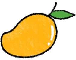 cute mango colored pencil lines png