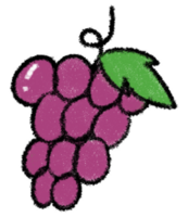 grape colored pencil lines cute png