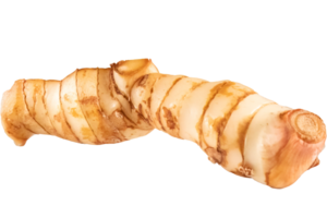 Galangal is thai medicinal plant used as a spice in cooking for health. Photo of close-up objects isolated on white or transparent background. png