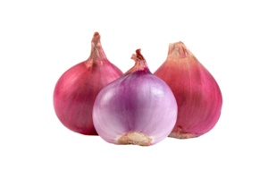 shallots onion chopped isolated png