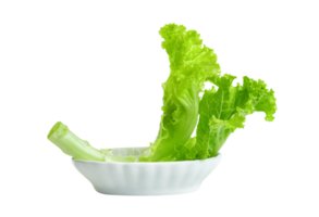 Grüner Salat Blatt mit Schüssel isoliert, grün Blätter Muster ,Salat Zutat png