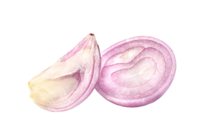 shallots onion chopped isolated png