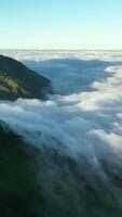 de la naturaleza tranquilo momentos, la tierra ruidoso maravillas video