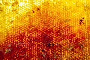 Drop of bee honey drip from hexagonal honeycombs filled with golden nectar photo