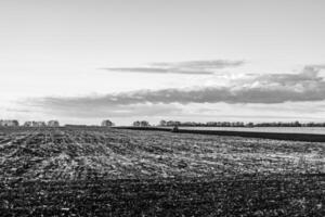 Photography on theme big empty farm field for organic harvest photo