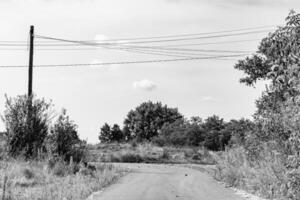 hermosa vacío asfalto la carretera en campo en ligero antecedentes foto