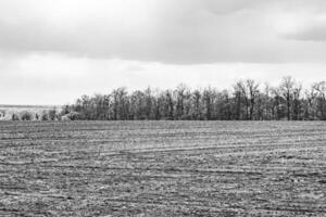 Photography on theme big empty farm field for organic harvest photo