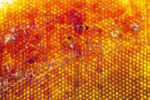 Drop of bee honey drip from hexagonal honeycombs filled with golden nectar photo