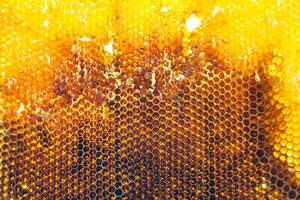 Drop of bee honey drip from hexagonal honeycombs filled with golden nectar photo