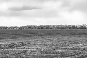 Photography on theme big empty farm field for organic harvest photo