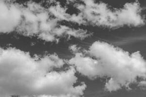 fotografía sobre el tema cielo nublado blanco en un horizonte largo poco claro foto