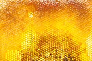 Drop of bee honey drip from hexagonal honeycombs filled with golden nectar photo