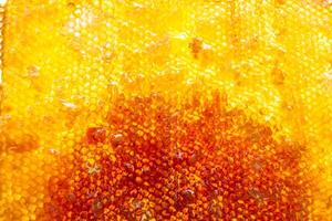 Drop of bee honey drip from hexagonal honeycombs filled with golden nectar photo