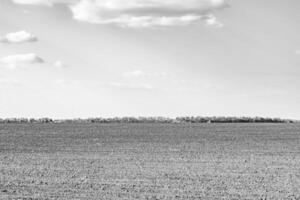 fotografía sobre el tema gran campo agrícola vacío para la cosecha orgánica foto