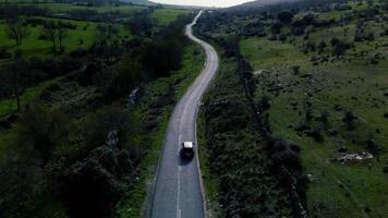 hermosa puntos de vista de España, caballos, vacas, interminable verde prados video