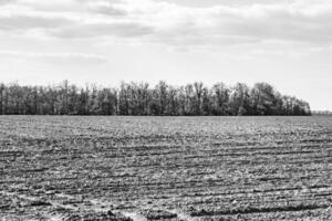 Photography on theme big empty farm field for organic harvest photo