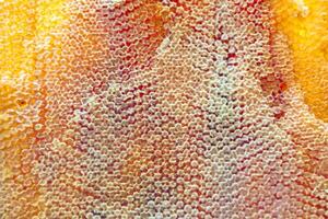 Drop of bee honey drip from hexagonal honeycombs filled with golden nectar photo
