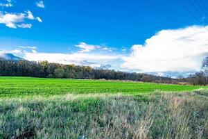 Photography on theme big empty farm field for organic harvest photo