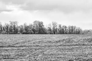 Photography on theme big empty farm field for organic harvest photo