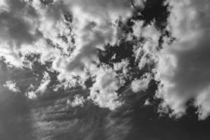 fotografía sobre el tema cielo nublado blanco en un horizonte largo poco claro foto