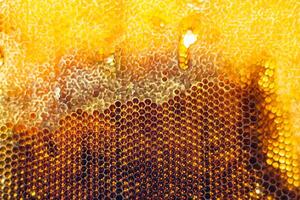 Drop of bee honey drip from hexagonal honeycombs filled with golden nectar photo