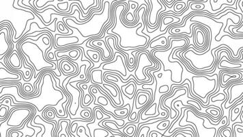 Abstract topographic animation with black color and white background. Fit for motion graphic projects. video