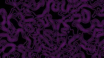 Abstract topographic animation with pink color and black background. Fit for motion graphic projects. video