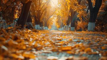 AI generated Autumn Alley with Beautiful Golden Colors and Leaves. Foliage, Leaf, Fall, Forest, Tree, Path, Road, Light, Background, Wallpaper, Season, Wood, Sun, Gold photo