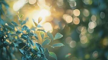 AI generated Soft Light Blurred Background. Blur, Defocused, Shine, Bokeh, Abstract, Sun, Sunset, Sunrise, Wallpaper, Flare, Blurry, Shiny photo