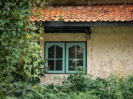 desgastado ventanas en un antiguo abandonado edificio, salvaje césped rodeando ellos foto