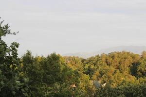 Mountain Landscape Around Gatlinburg Tennessee photo