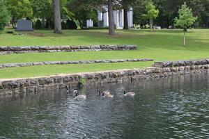 View of Delaware Park In Buffalo New York. photo
