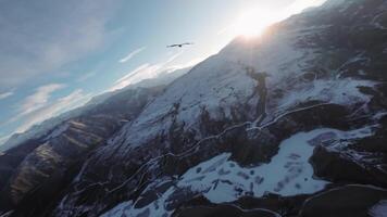 antenn se av fpv flygande Bakom de fågel av byte gam. långsam rörelse. jagar en vild fågel i de luft över de bergen på solnedgång. bergen täckt med snö video