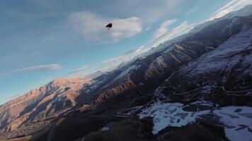 aereo Visualizza di fpv volante dietro a il uccello di preda avvoltoio. lento movimento. chasing un' selvaggio uccello nel il aria al di sopra di il montagne a tramonto. montagne coperto con neve video