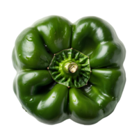 AI generated Green bell pepper PNG. Bell pepper vegetable top view PNG. Green pepper flat lay isolated png