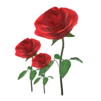 Red rose flower 3D Rendering png