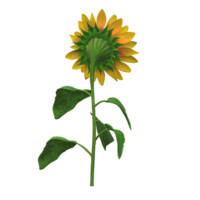 tournesol réaliste marrant style 3d le rendu png