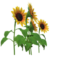 tournesol réaliste marrant style 3d le rendu png