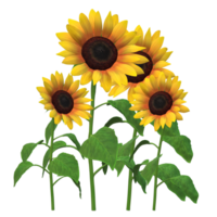 sunflower realistic funny style 3D Rendering png