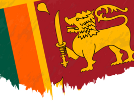 estilo grunge bandera de sri lanka. png