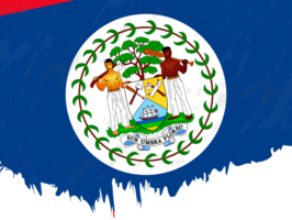 Grunge-style flag of Belize. png