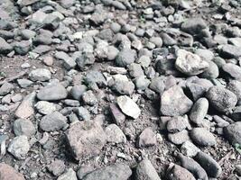 Smooth round pebbles texture background. Pebble sea beach close up, dark wet pebbles and gray dry pebbles photo