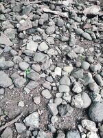 Smooth round pebbles texture background. Pebble sea beach close up, dark wet pebbles and gray dry pebbles photo