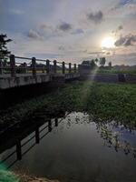 puente y río en el medio de arroz campos foto