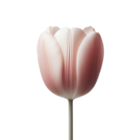 ai gerado tulipa flor png